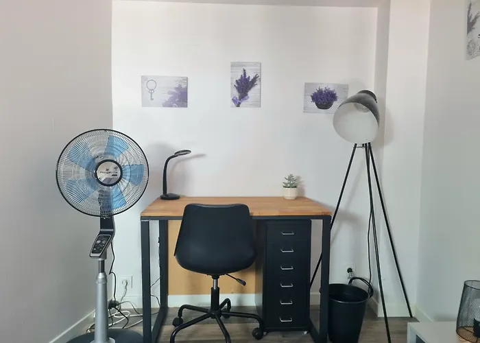 Joli Studio En Plein Centre Historique